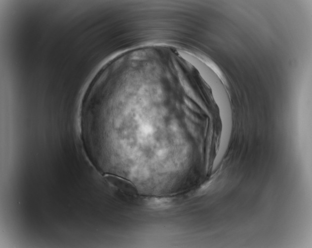 X0000089691148200707201715