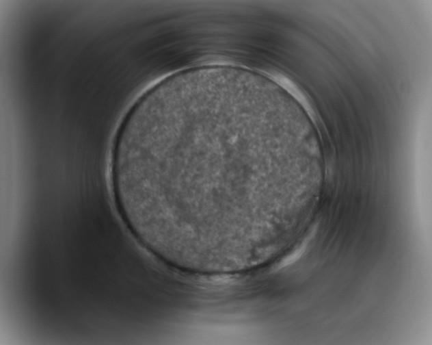 X0000089691149200707201715