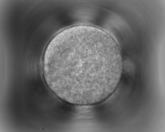 X0000089691150200707201715