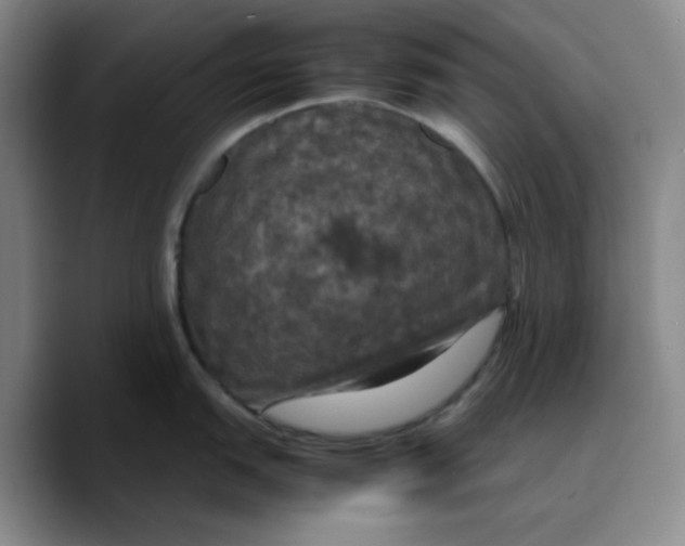 X0000089691151200707201715