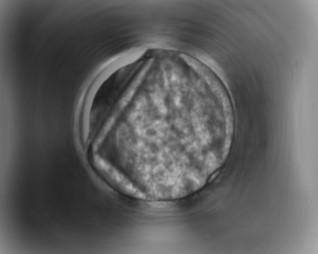 X0000089691152200707201715