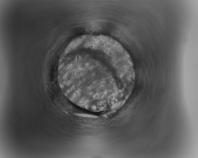 X0000089691153200707201714