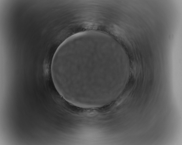 X0000089691154200707201714