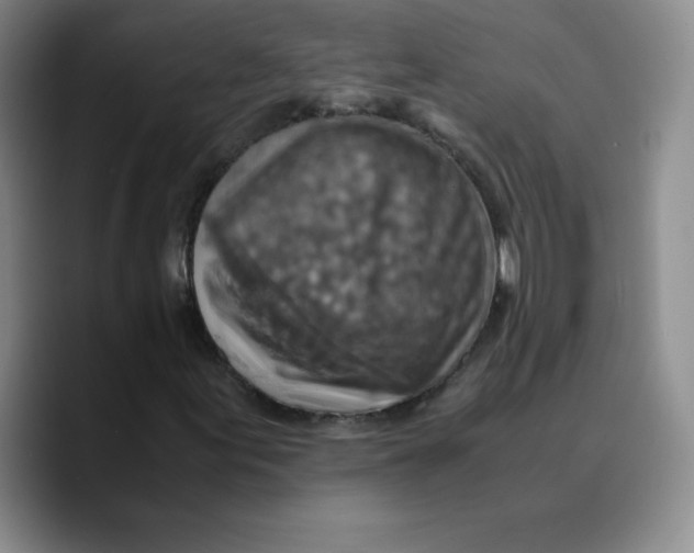 X0000089691155200707201714