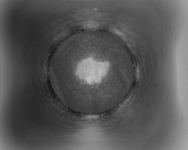 X0000089691157200707201714