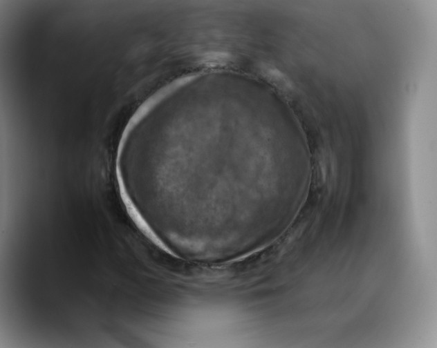 X0000089691158200707201714