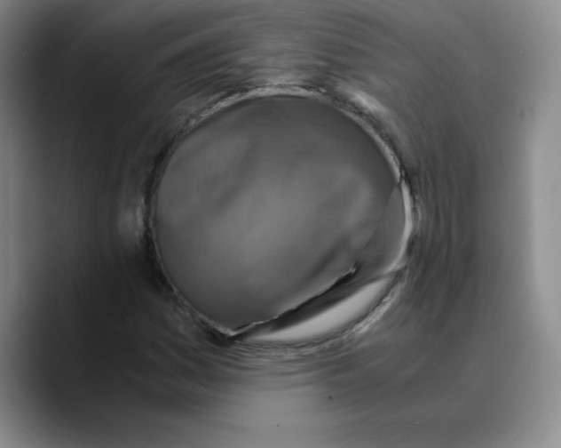 X0000089691161200707201714
