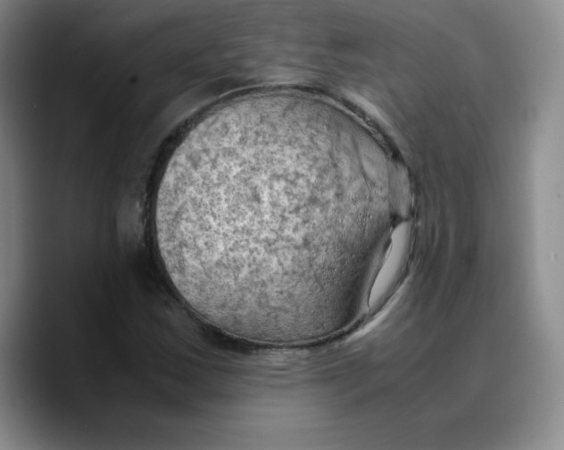 X0000089691163200707201714