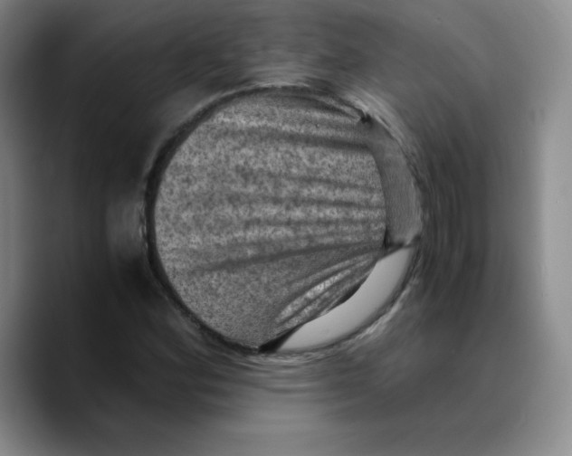 X0000089691164200707201714