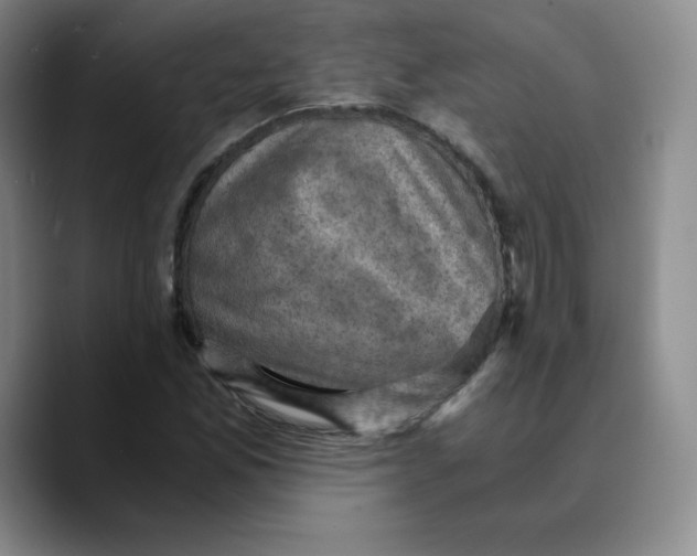 X0000089691165200707201714