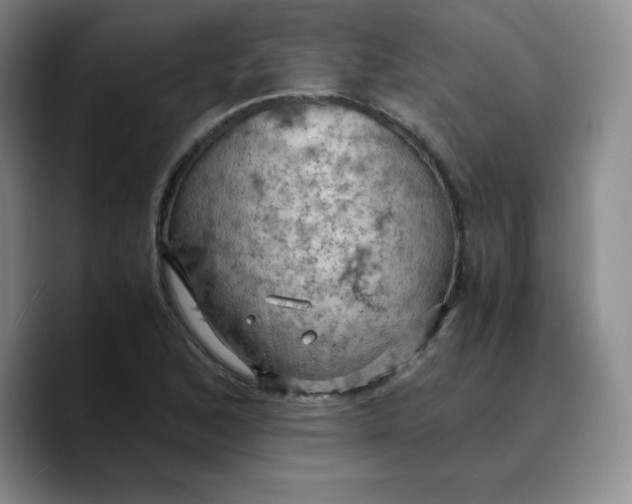 X0000089691168200707201714