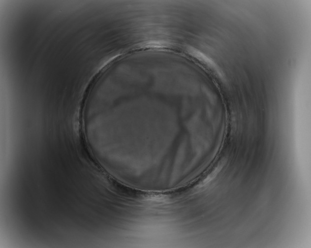 X0000089691170200707201714