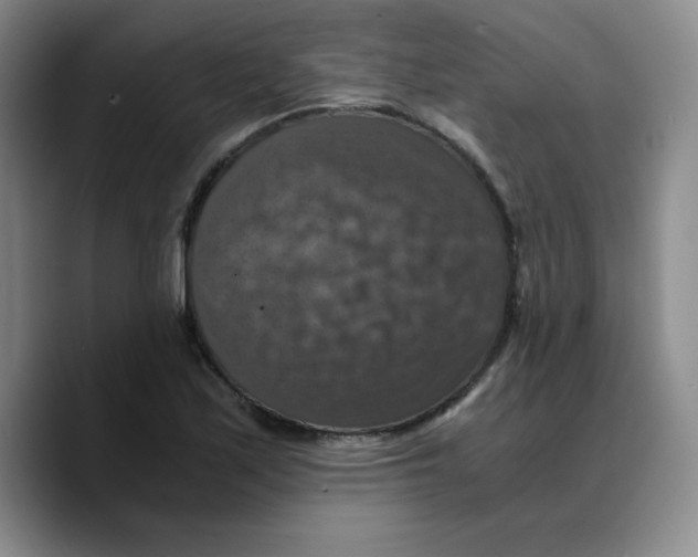 X0000089691171200707201714