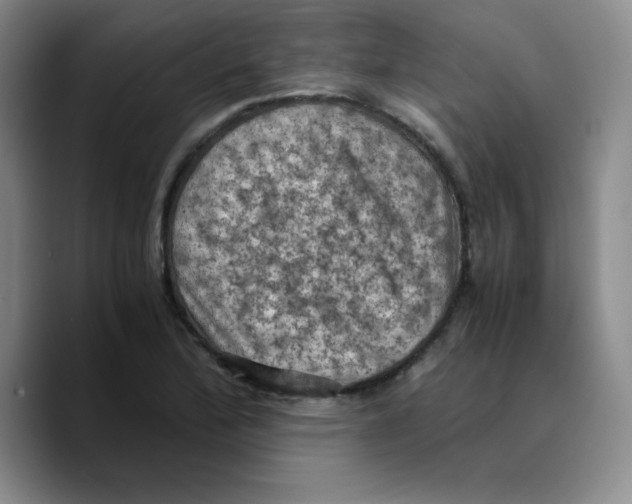 X0000089691172200707201714