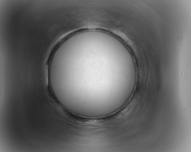 X0000089691175200707201714