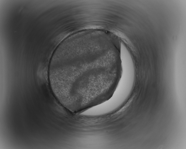 X0000089691177200707201714