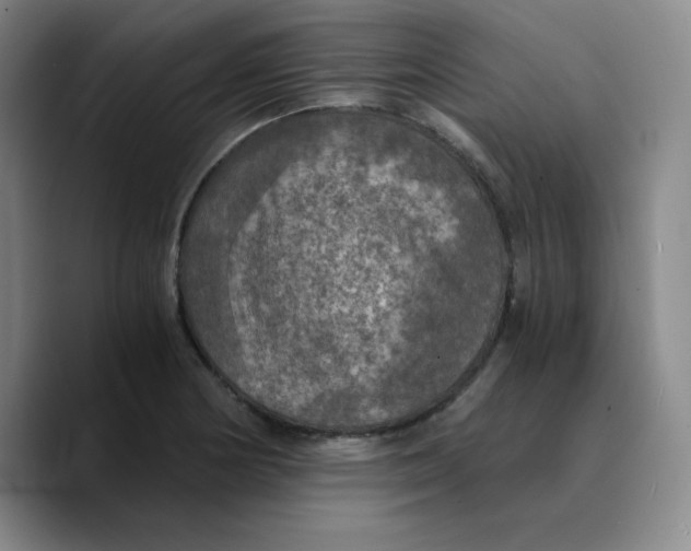 X0000089691178200707201714