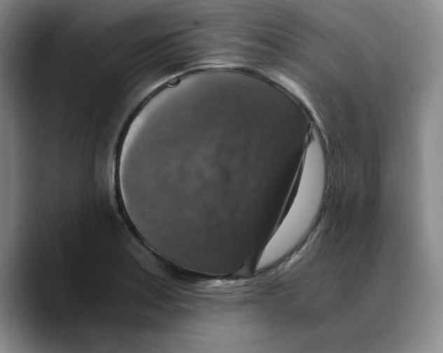 X0000089691179200707201714