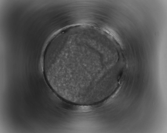 X0000089691180200707201714