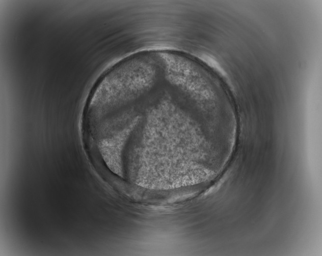 X0000089691181200707201714