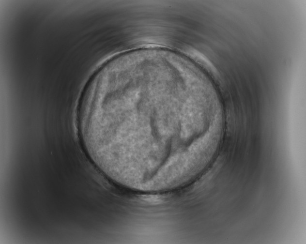 X0000089691182200707201714