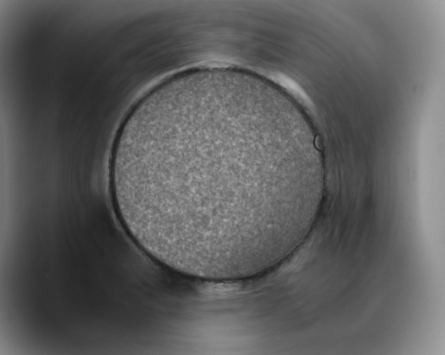 X0000089691183200707201714