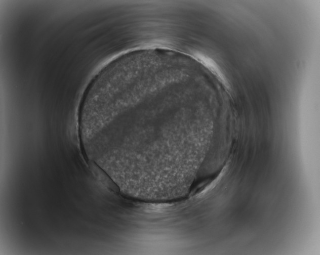 X0000089691184200707201714
