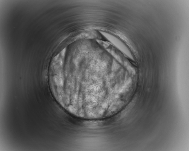 X0000089691185200707201714