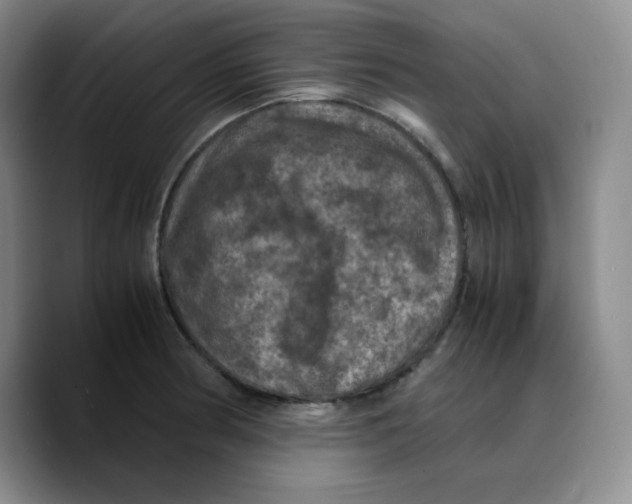 X0000089691186200707201714