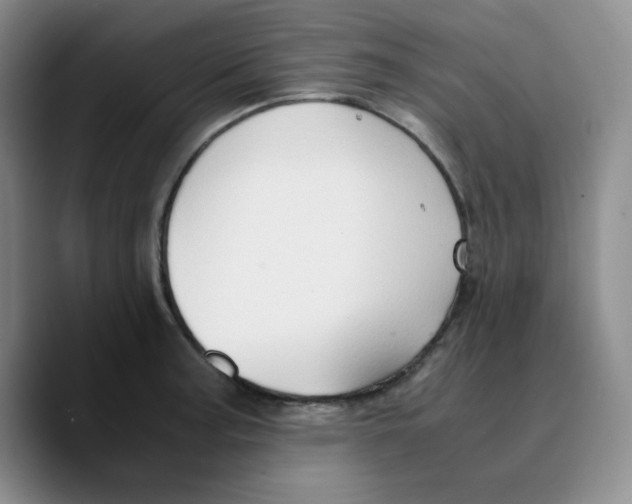 X0000089691187200707201714