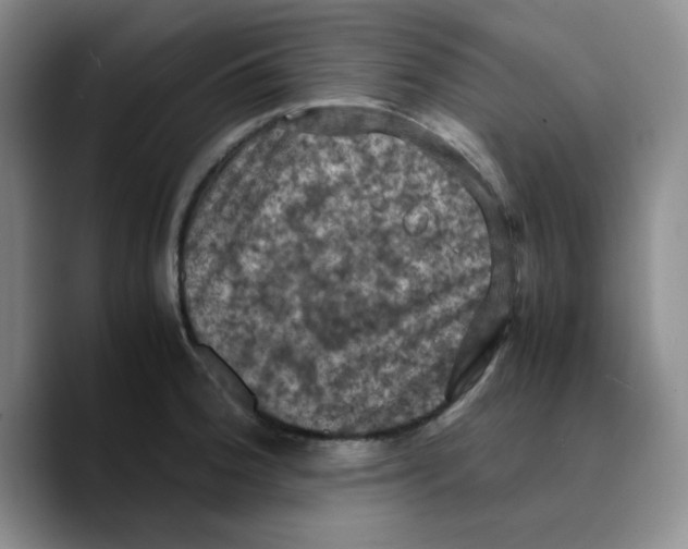 X0000089691188200707201714