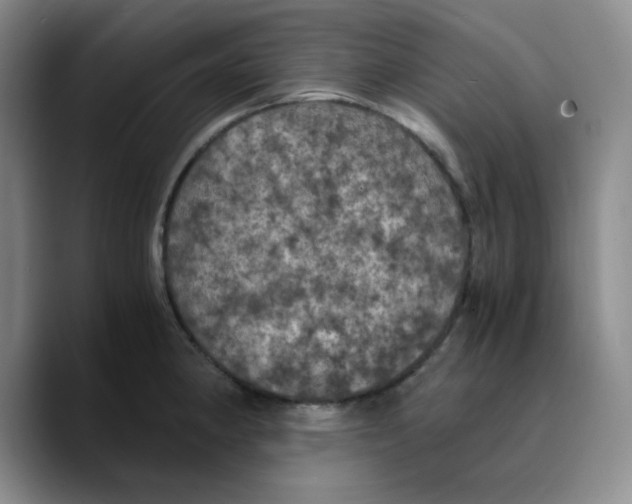 X0000089691190200707201714