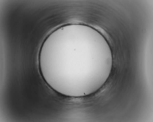 X0000089691191200707201714