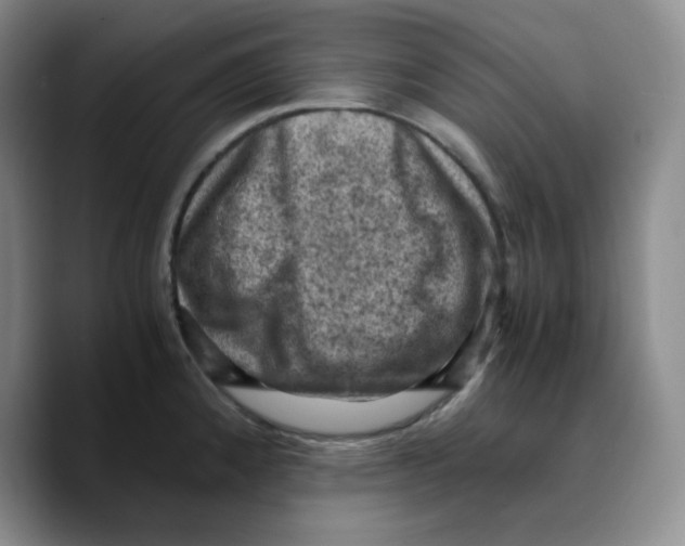 X0000089691192200707201714