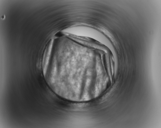 X0000089691193200707201714