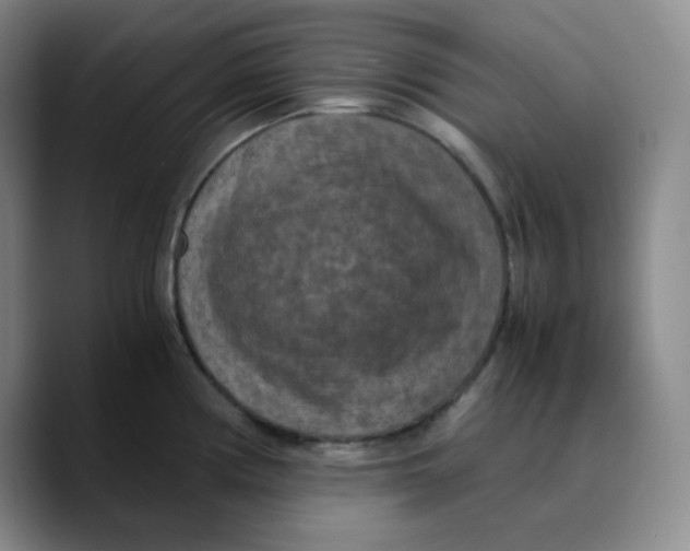 X0000089691194200707201714
