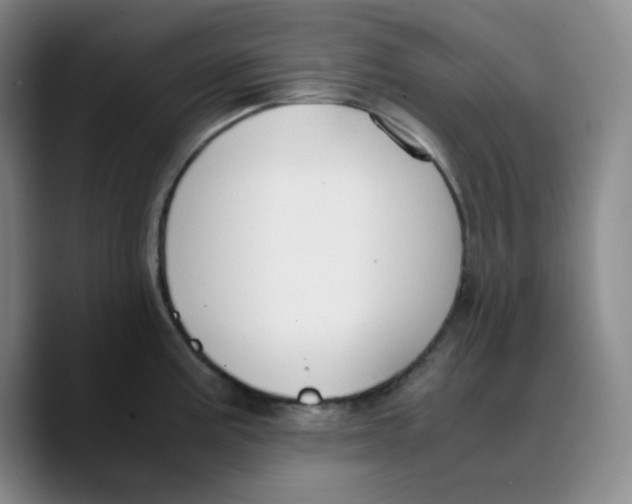 X0000089691195200707201714