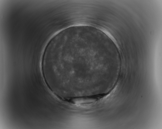 X0000089691197200707201714