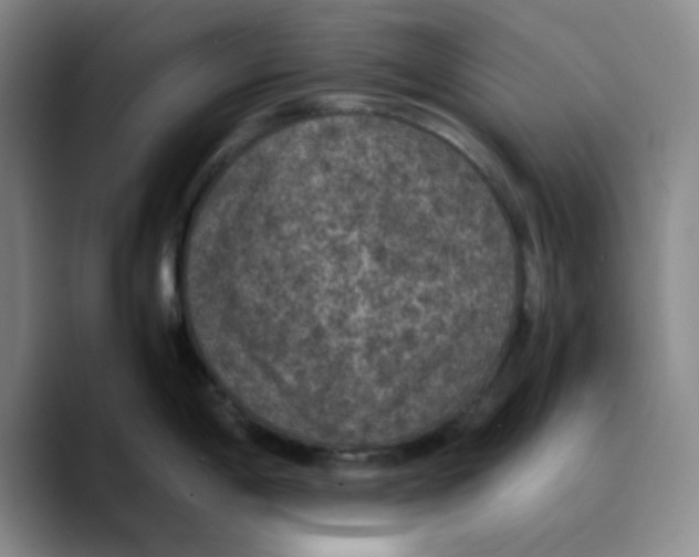 X0000089691198200707201714