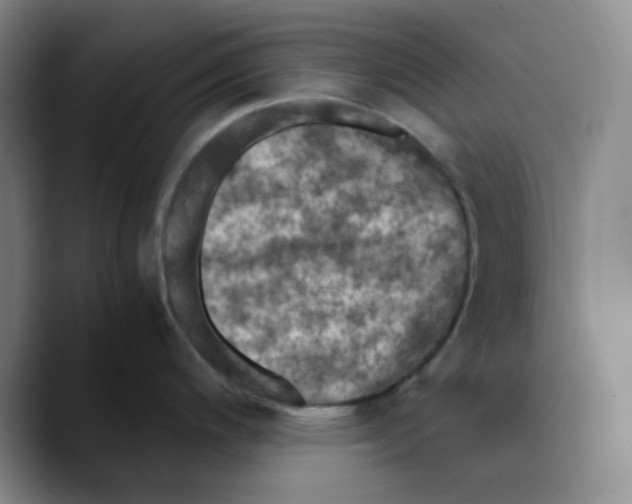 X0000089691200200707201714