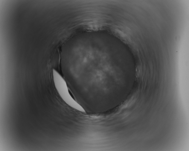 X0000089691202200707201713