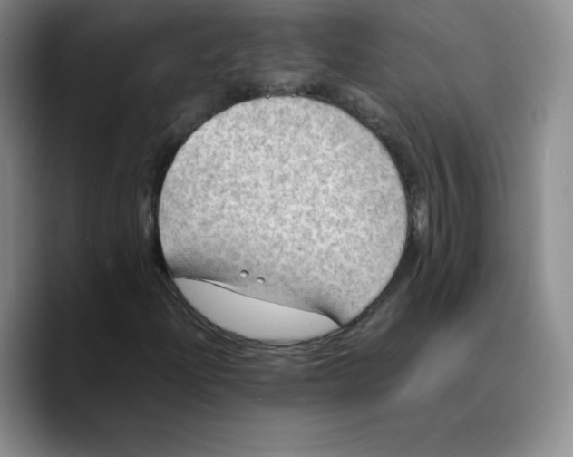 X0000089691204200707201713