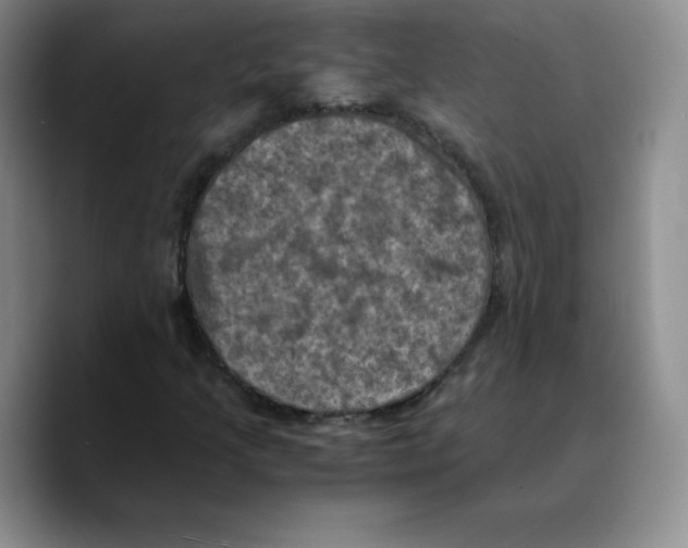 X0000089691205200707201713