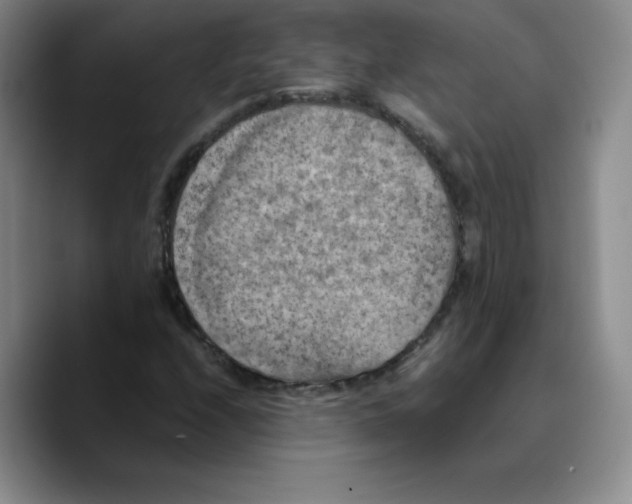 X0000089691208200707201713