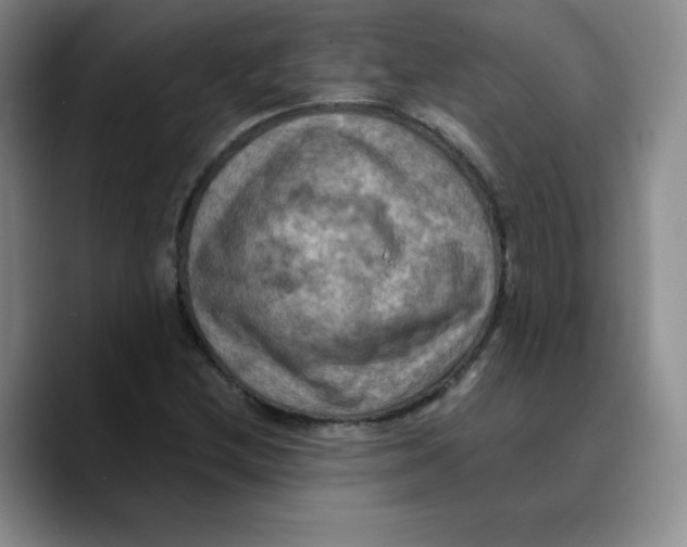 X0000089691212200707201713