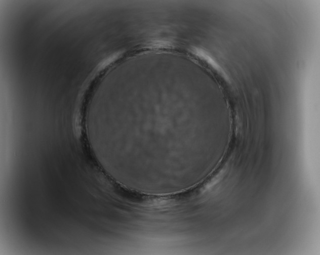 X0000089691213200707201713