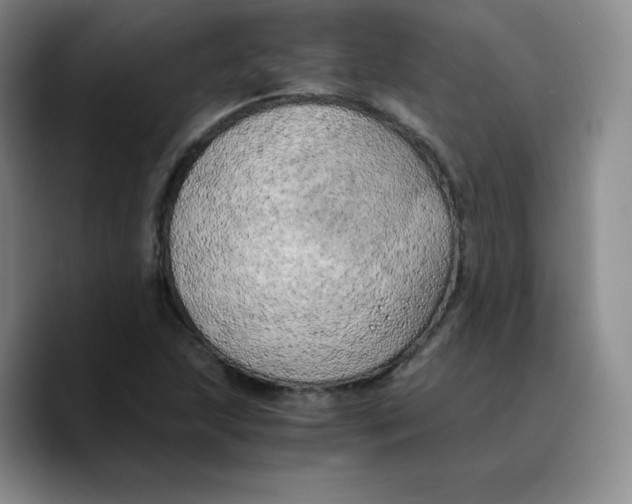 X0000089691215200707201713