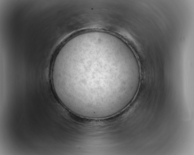 X0000089691216200707201713