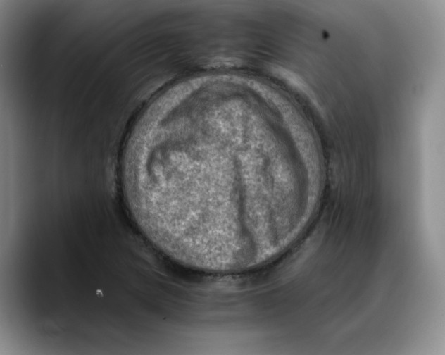 X0000089691217200707201713