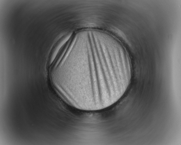 X0000089691218200707201713